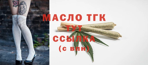 гашик Елизово