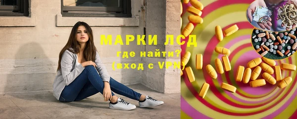 гашик Елизово