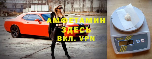 гашик Елизово