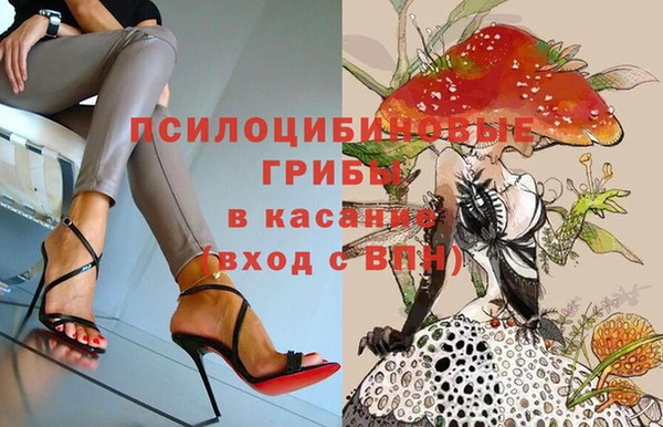 твердый Елабуга