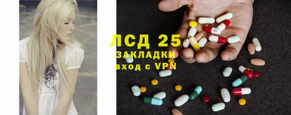 гашик Елизово