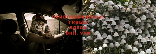 экстази Заводоуковск